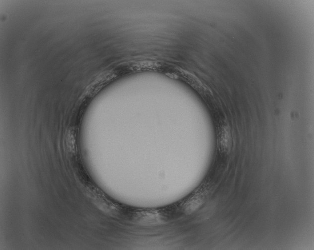 X0000073450715200608251706