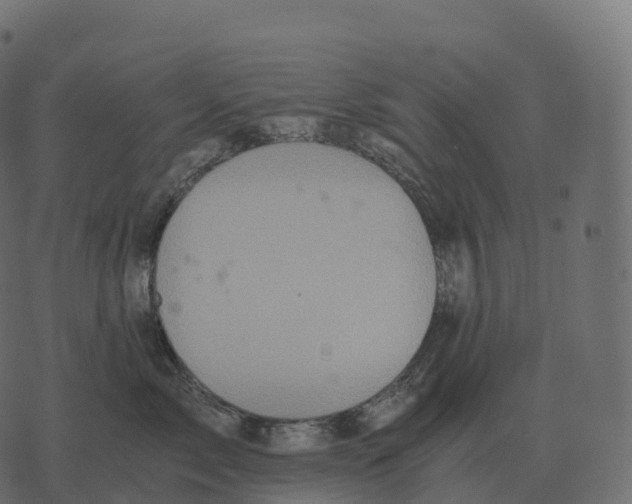 X0000073450717200608251706