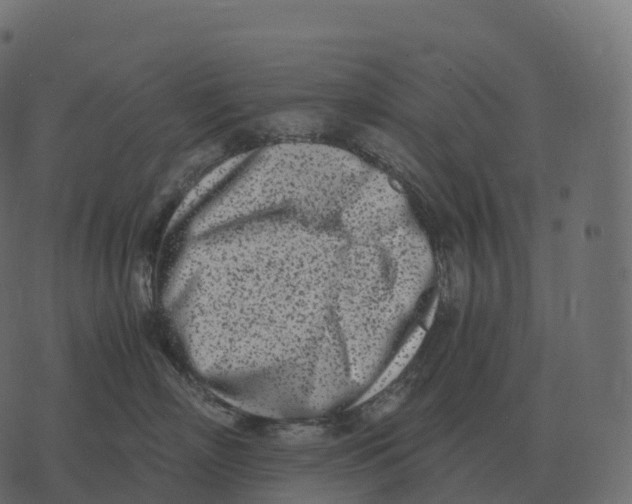 X0000073450718200608251706