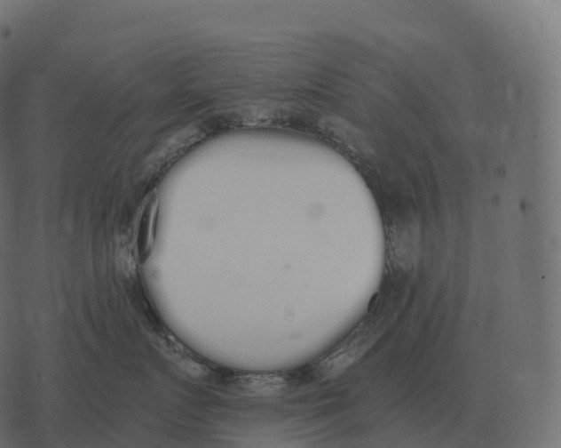 X0000073450719200608251706