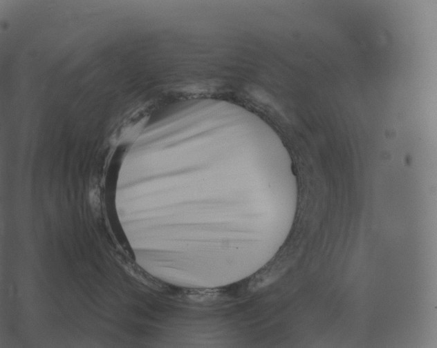 X0000073450720200608251706