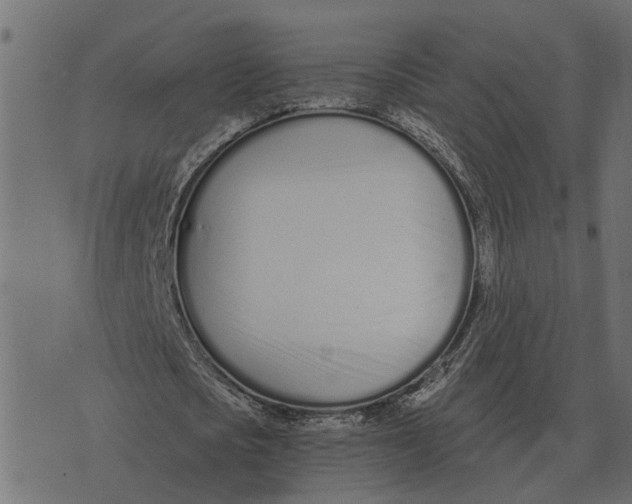 X0000073450721200608251705