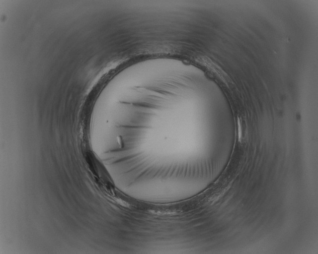 X0000073450723200608251705