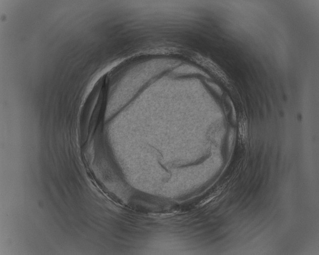 X0000073450724200608251705