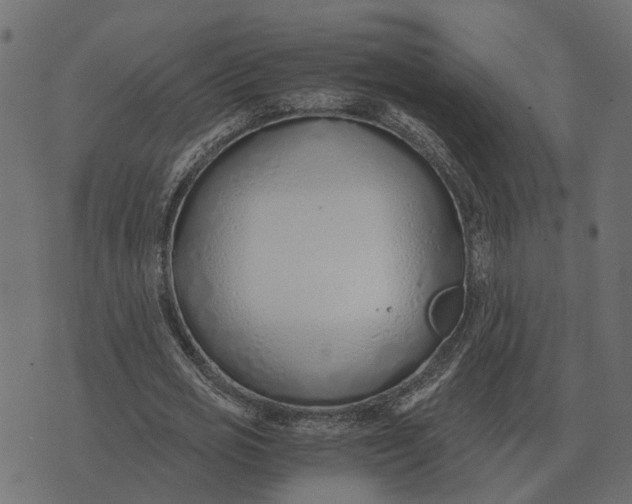 X0000073450725200608251705