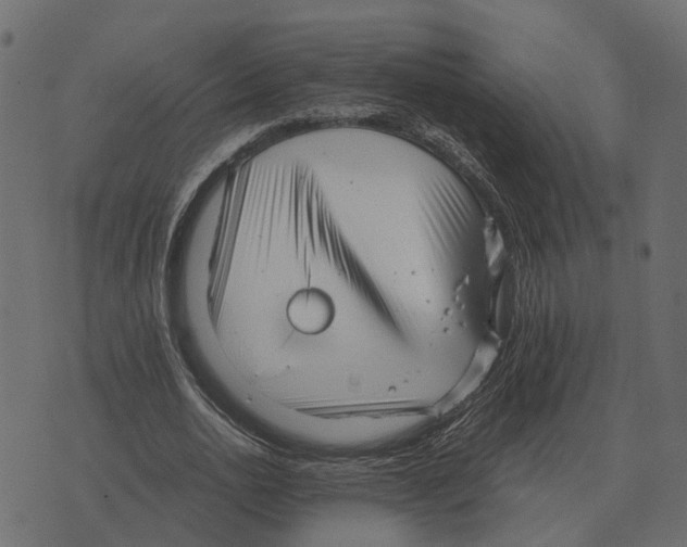 X0000073450726200608251705