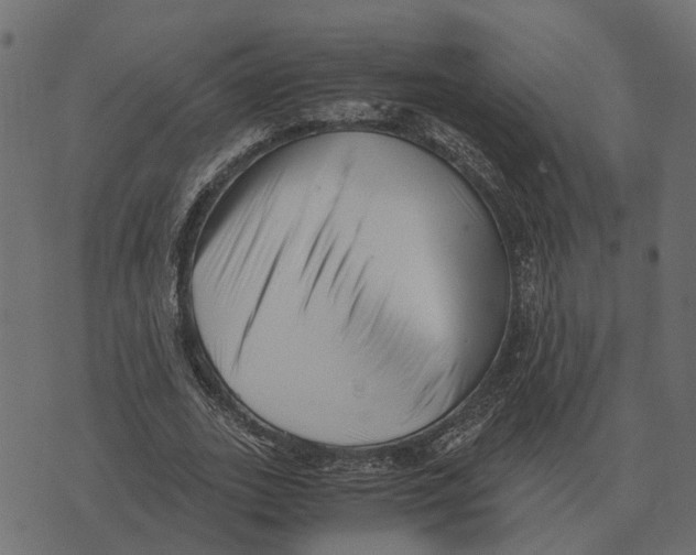 X0000073450727200608251705