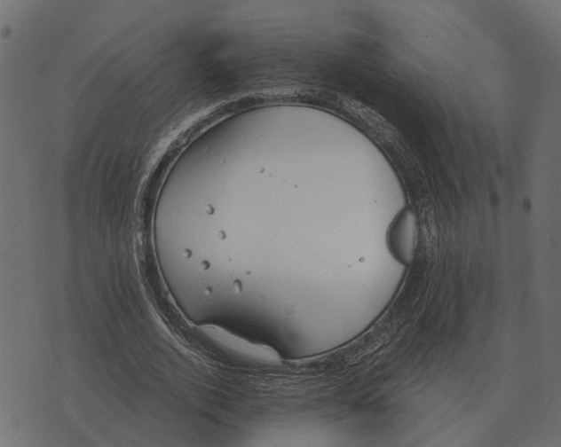 X0000073450728200608251705