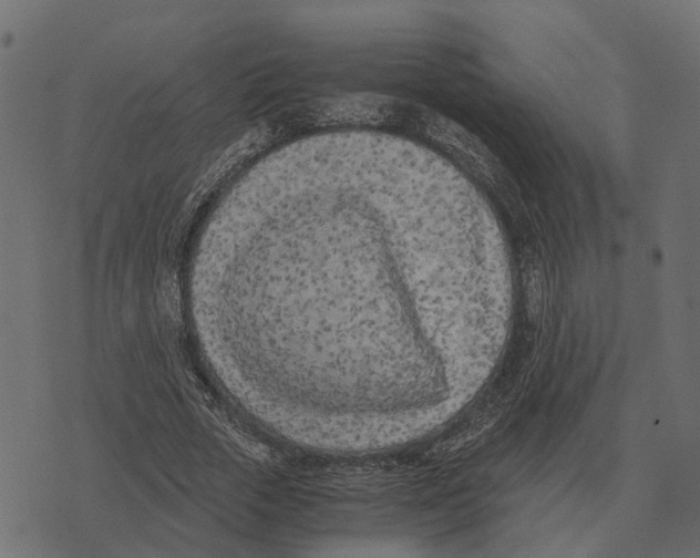 X0000073450729200608251705