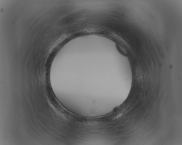 X0000073450730200608251705