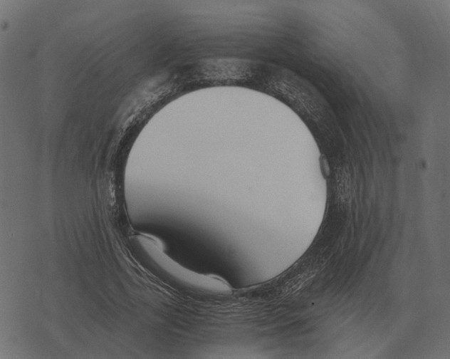 X0000073450731200608251705