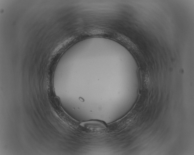 X0000073450732200608251705