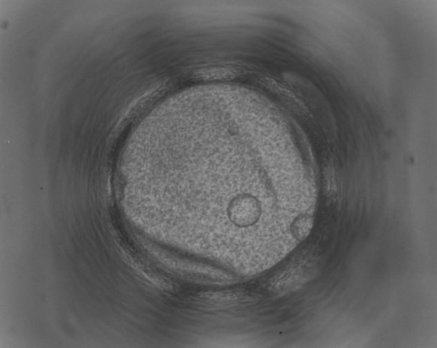 X0000073450733200608251705