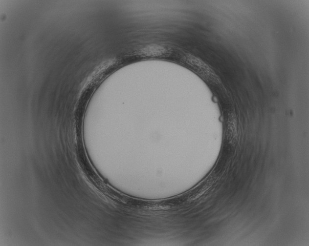 X0000073450734200608251705