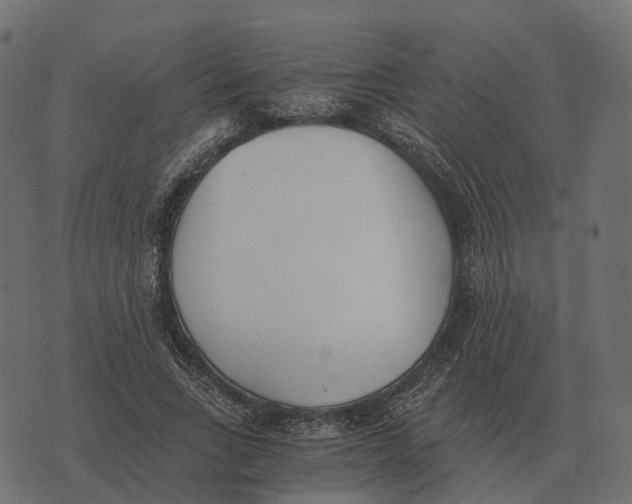 X0000073450735200608251705