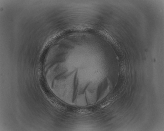 X0000073450736200608251705