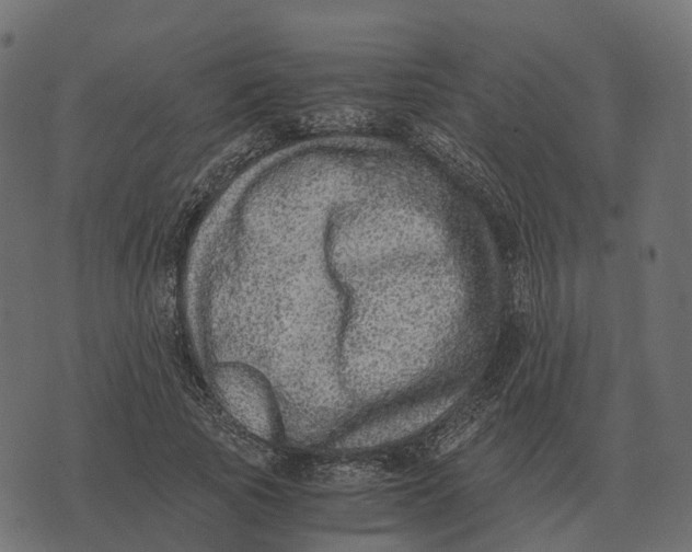 X0000073450737200608251705