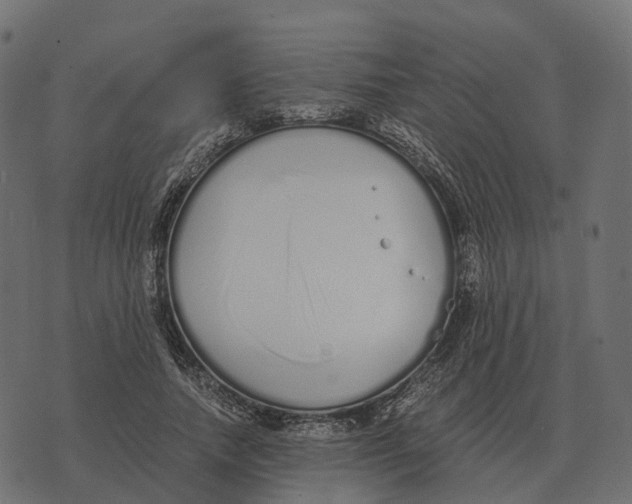 X0000073450738200608251705