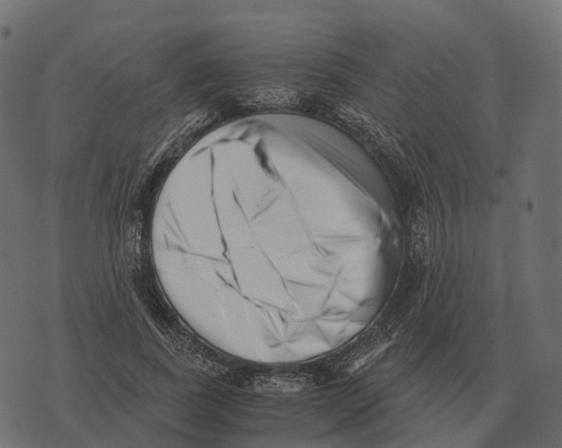 X0000073450739200608251705