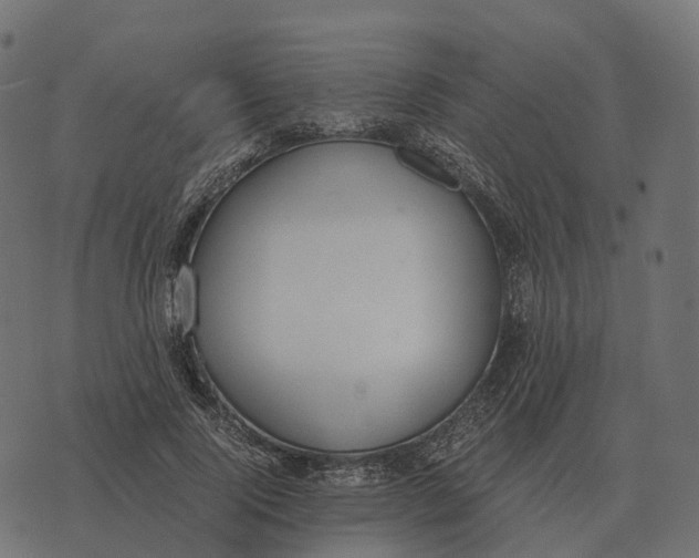 X0000073450740200608251705