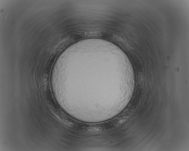 X0000073450741200608251705