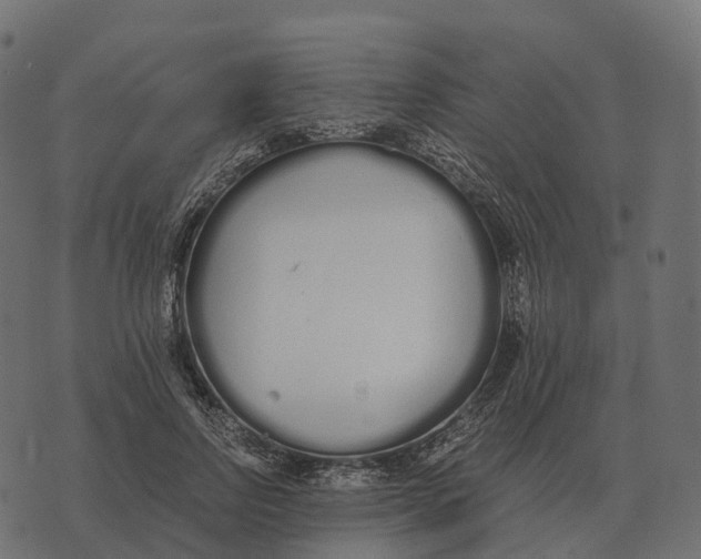 X0000073450742200608251705