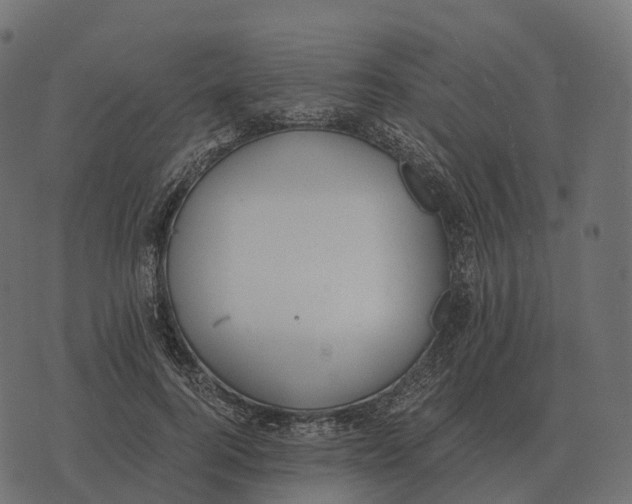 X0000073450744200608251705