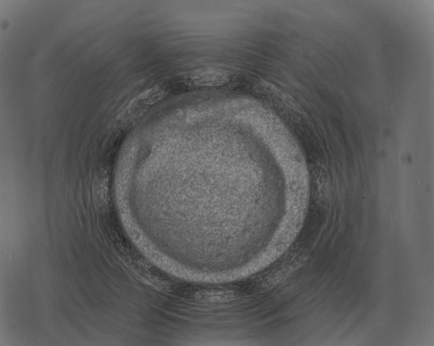 X0000073450745200608251705