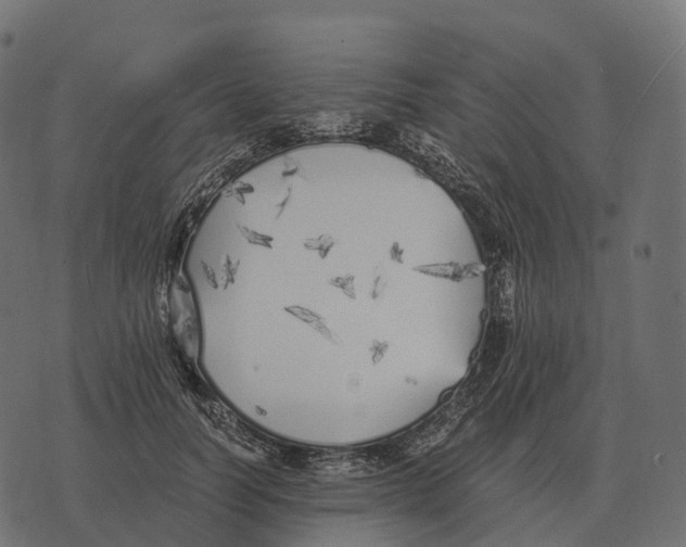 X0000073450746200608251705