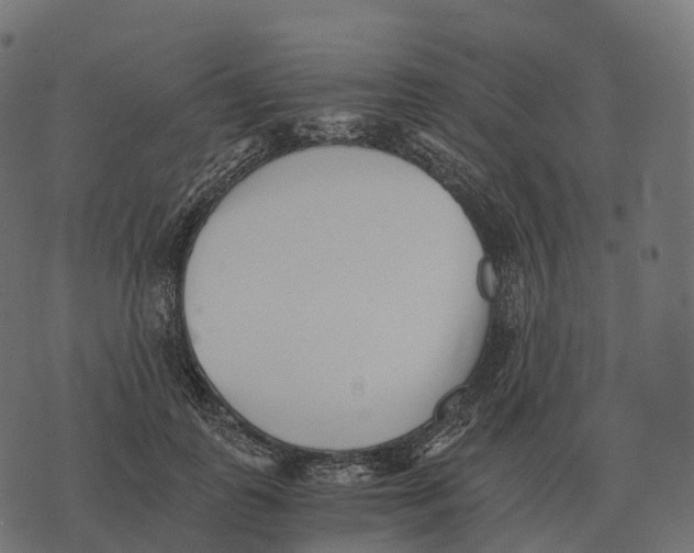 X0000073450747200608251705