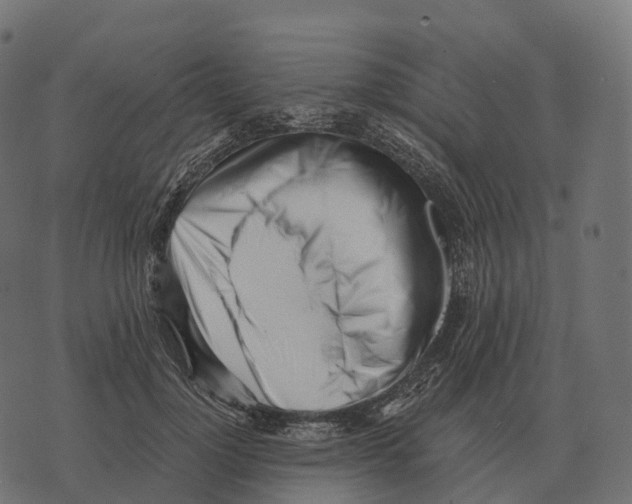 X0000073450748200608251705