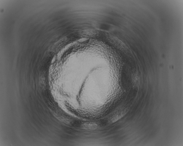 X0000073450749200608251705