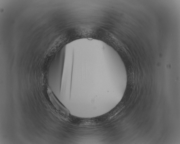 X0000073450750200608251705