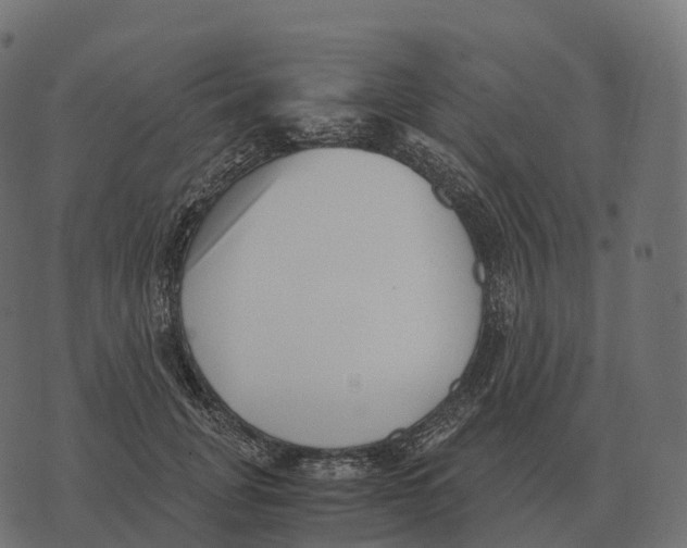 X0000073450751200608251705