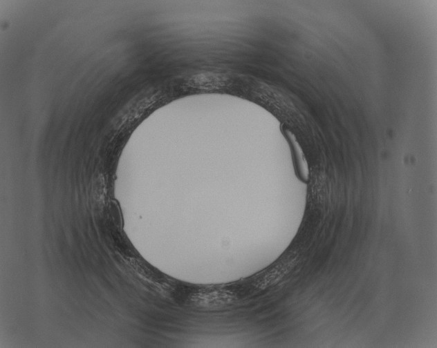 X0000073450752200608251705