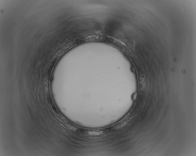 X0000073450753200608251705