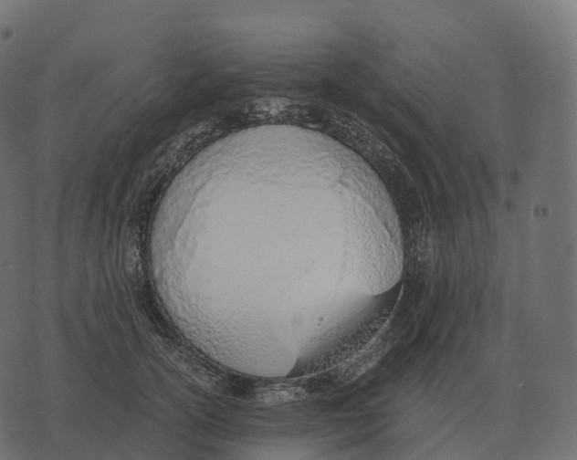 X0000073450754200608251705