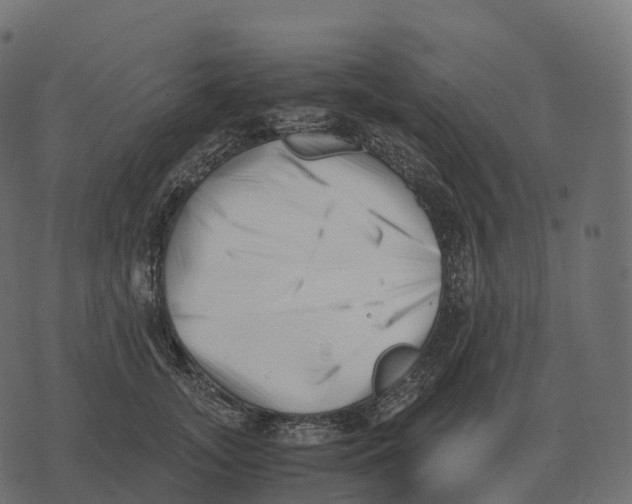 X0000073450755200608251705