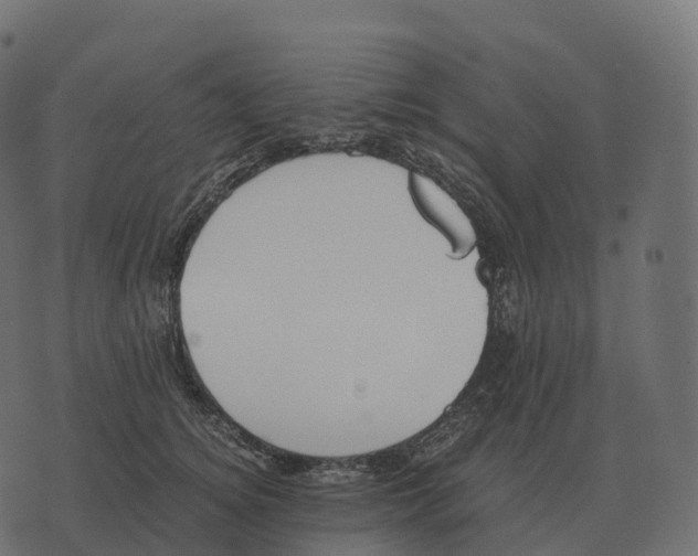 X0000073450756200608251705