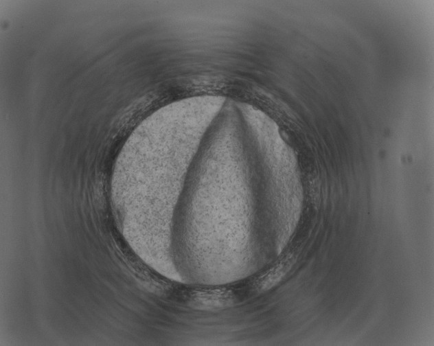 X0000073450757200608251705