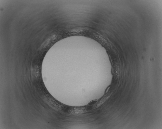 X0000073450758200608251705