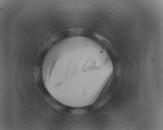 X0000073450759200608251705