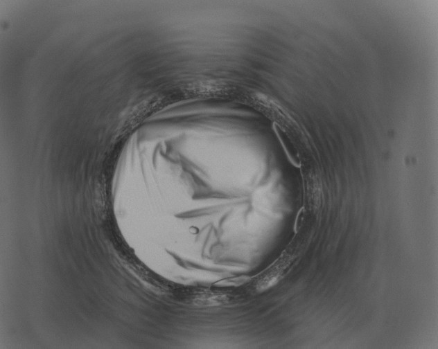 X0000073450760200608251706