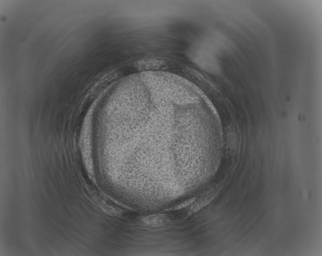 X0000073450761200608251706