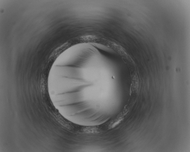 X0000073450762200608251706