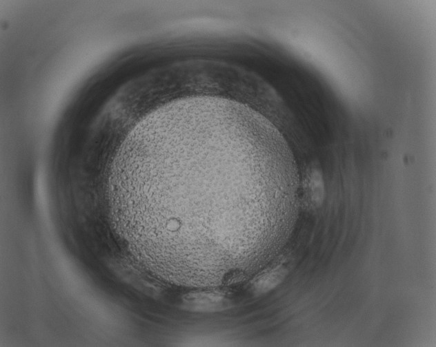 X0000073450765200608251706