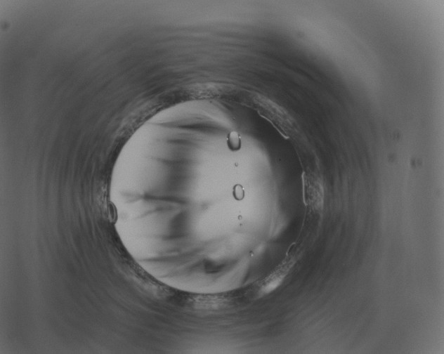 X0000073450766200608251706