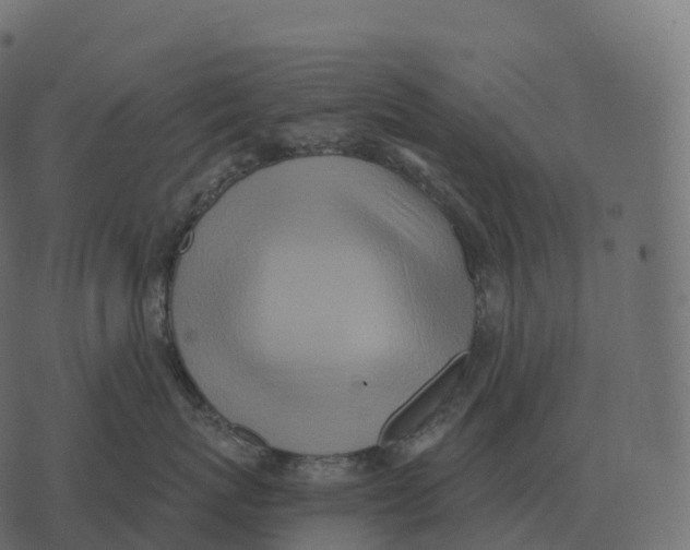 X0000073450767200608251706