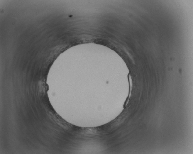 X0000073450768200608251706