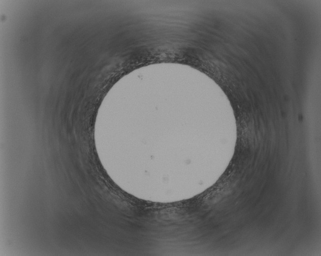 X0000073450769200608251705